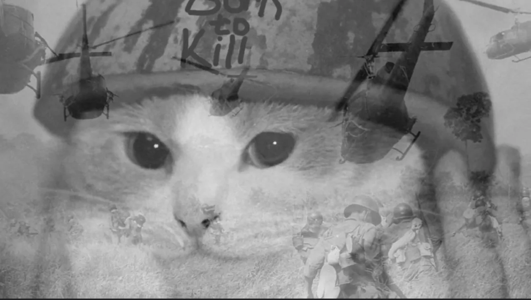 Вьетнамский кот